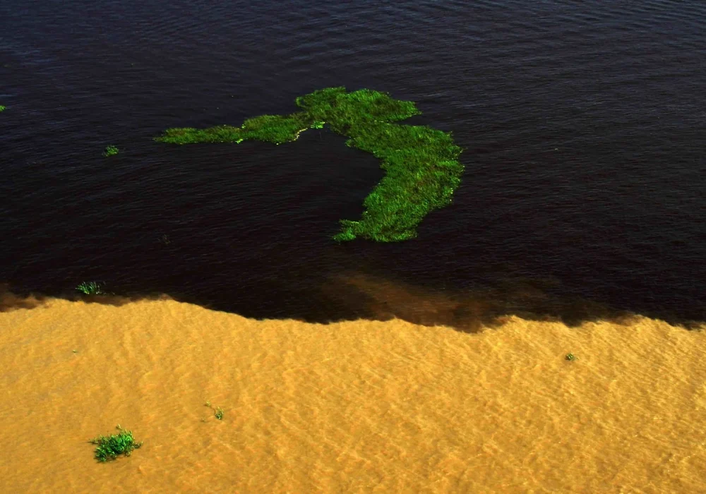 Encontro das Águas - Manaus - Amazonas (2)