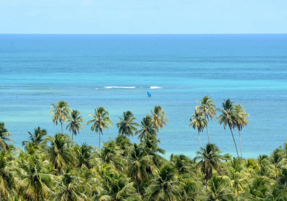 Maragogi - Alagoas (3)