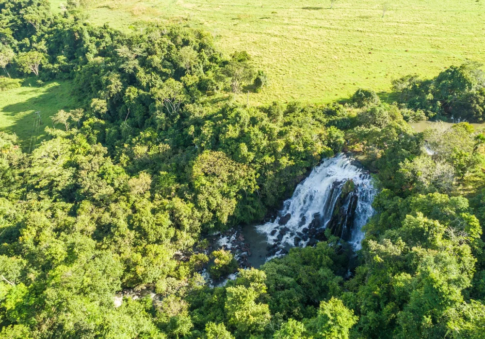 Cachoeira Rio Verde - Goiás