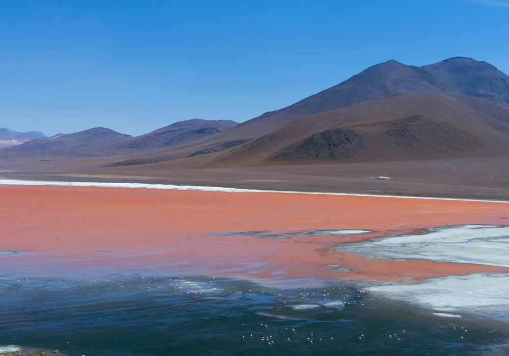 Laguna Colorada- Bolívia