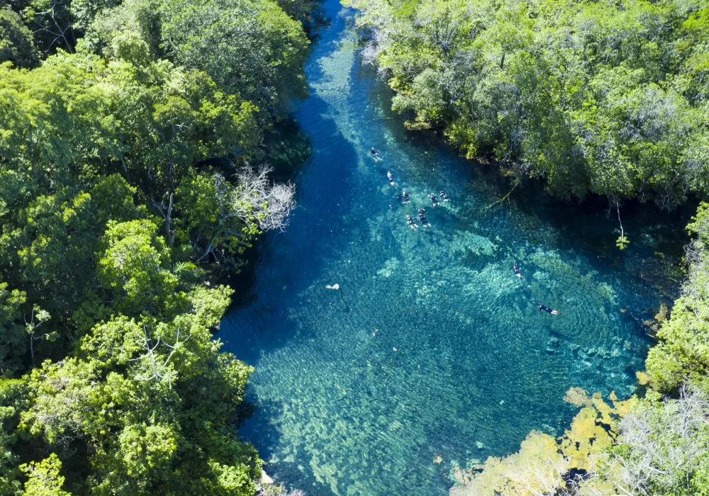 Rio Da Prata - Mato Grosso do Sul (1)