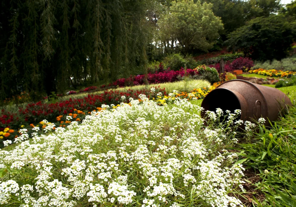 Gramado - Rio Grande do Sul (1)