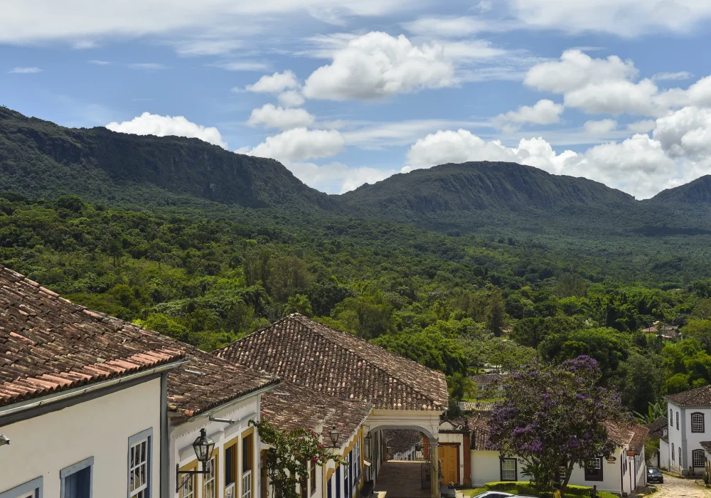 Minas Gerais (3)