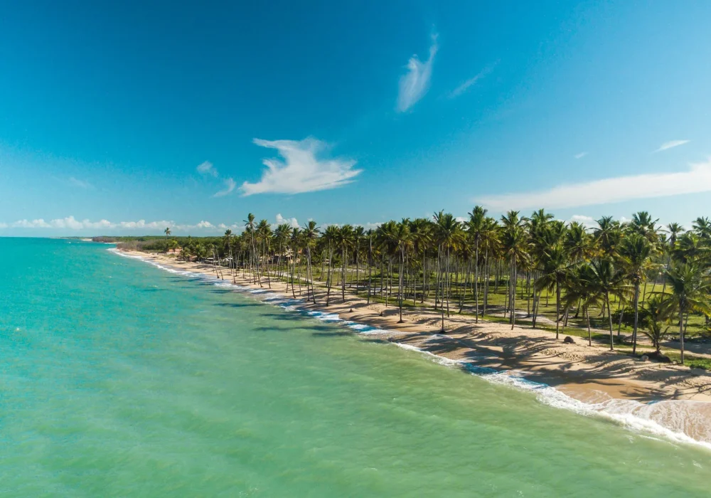Praia Bahia (2)