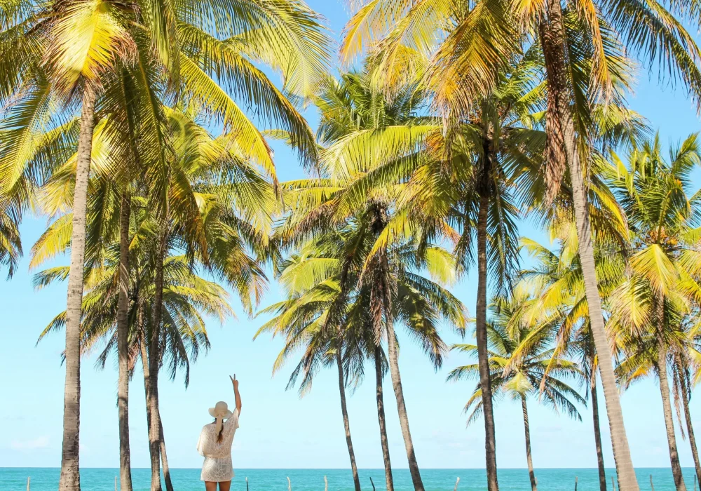 Praia Macaraípe - Pernambuco